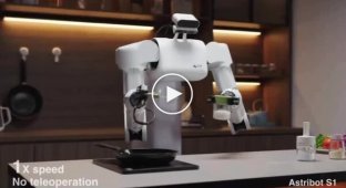 Домашний робот Astribot S1: что он умеет делать