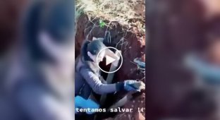 Спасение, радость и неожиданное продолжение