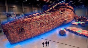 Map of the Titanic wreck (13 photos)
