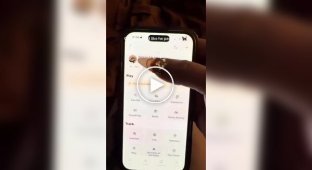 A phone for cats