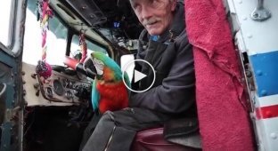 An elderly truck driver with a parrot on a vintage truck