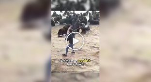 Мужчина спас морского льва от покрышки