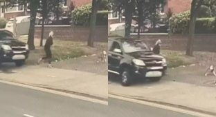 Собака спасла хозяйку, вовремя оттащив от мчащейся на нее машины (2 фото + 1 видео)