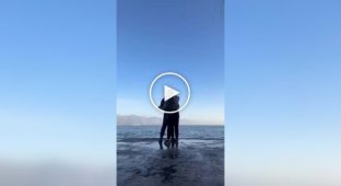 Бродячий кіт додав гумору в романтичне відео пари