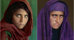 Как сложилась судьба «афганской девочки», изображение которой разместили на National Geographic (8 фото)