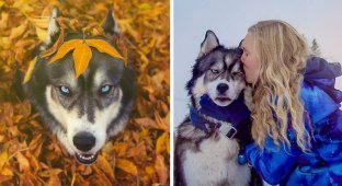 Сказочная история собаки и девушки, которые спасли друг друга (27 фото)