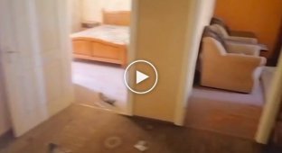 Снаряд от Урагана залетел в квартиру людям