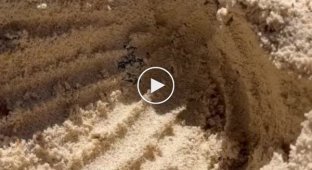 От такой природы мурашки по телу