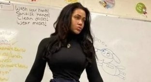 Обычная учительница изобразительного искусства из школы в Нью-Джерси (4 фото)