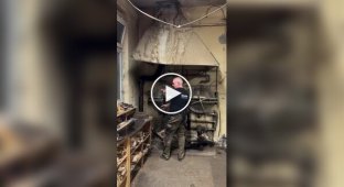 Taming wood: steam bending wooden window frames