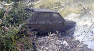 На дне пруда во Франции спустя 38 лет нашли угнанный Peugeot (9 фото)