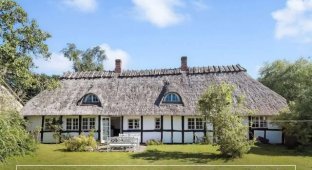 An entire mansion is being sold in Denmark for 66,500 euros (6 photos)
