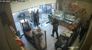 Корова ворвалась в пекарню