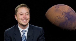 Elon Musk under investigation over Twitter deal (2 photos)