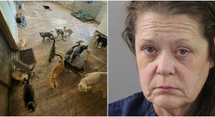 A teacher was arrested in the USA for keeping 309 animals at home (11 photos + 1 video)