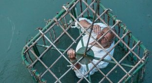 Italians put politicians in cages and throw them into the water - don't panic, this is the tradition (4 photos + 2 videos)