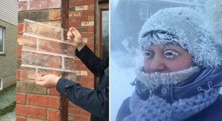 30 very cold photos that clearly demonstrate the power of winter (31 photos)