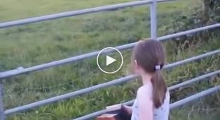 And now a concert by request! Little girl and cows
