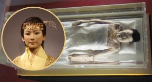 Леди Дай: 2200-летняя мумия, в чьих венах до сих пор есть кровь (7 фото)