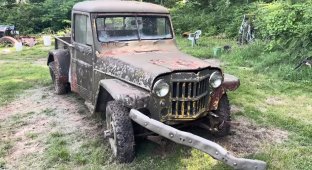 American power: an old Jeep from the 50s started up after 44 years of sitting in a landfill (3 photos + 1 video)