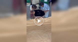 На відео показали процес виготовлення чорного пінополіуретану