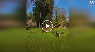 Firefighters rescued a paraglider stuck in a tree
