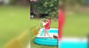 Білки атакують