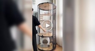 Квартира для котів
