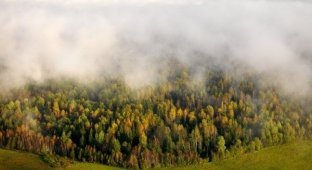 Неповторимая красота Литвы (31 фото)