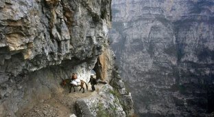 On the Journey for Knowledge (25 photos)