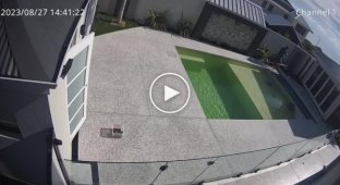 Неудачная попытка австралийца почистить бассейн