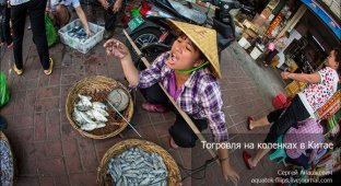 Торговля на коленках в Китае (17 фото)