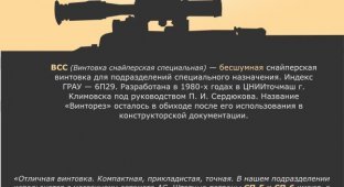 Бесшумная снайперская винтовка «Винторез» из арсенала российского спецназа (6 фото)