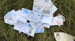 В лесу Забайкальского края обнаружили письма, выброшенные «Почтой России» (3 фото)