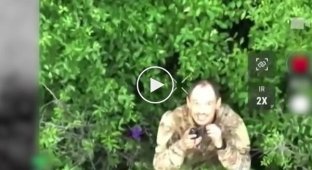Нацгвардейцы ликвидировали группу оккупантов, которые хотели прорваться к украинским позициям под Покровском