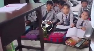 В Индии учительница заставила бить школьников своего одноклассника из-за математической ошибки