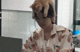 Классные гифки. Выпуск 2732