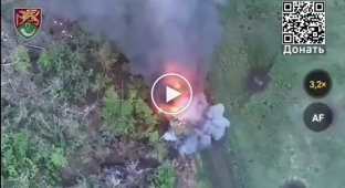 На Новопавловском направлении ВСУ уничтожили штурм бронетехники РФ с помощью артиллерии и дронов, - ОСГВ Хортиця