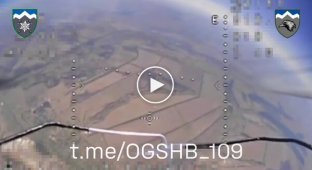 Бойцы 10 ОГШБр впервые сбили FPV-дроном вражеский беспилотник Мерлин-ВР