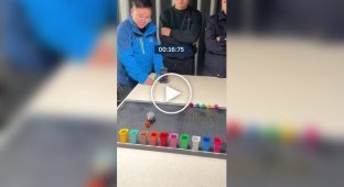 В Китае попугай за 33,5 секунды рассортировал 10 цветов и попал в Книгу рекордов Гиннесса