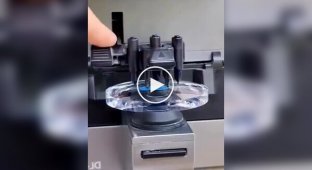 Изготовление линзы для очков