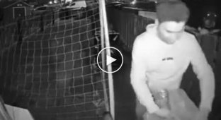 A Dog Who Observed, Planned, and Executed the Perfect Intimidation