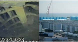 Японцы впервые показали внутреннюю часть реактора АЭС "Фукусима" (2 фото + 1 видео)