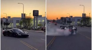 Когда 789 лошадей встречаются с 1 идиотом (9 фото + 2 видео)