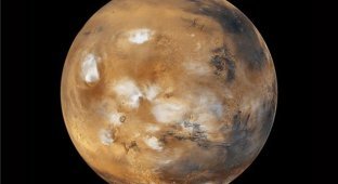 Кто полетит на Марс (4 фото)