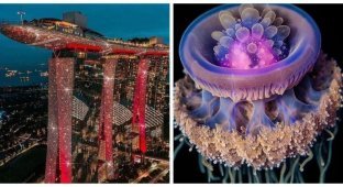 17 увлекательных фотографий, которые поразят даже самых заядлых скептиков (17 фото + 1 видео)