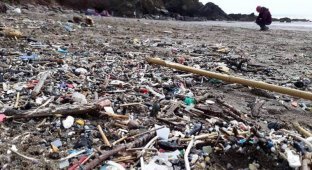 Топовый английский пляж для серферов утопает в мусоре (6 фото)