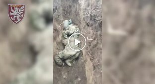 Bodies of Russian marines eliminated by paratroopers of the 80th Airborne Assault Brigade during a battle in Kursk region