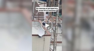 A nest in an industrial style