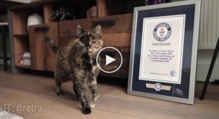 Flossy is the oldest living cat